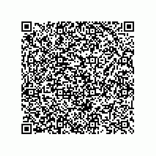 vCard 73825733351