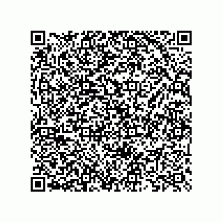 vCard 73825733353