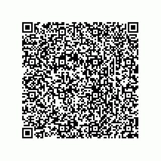 vCard 73825733355