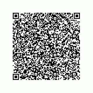 vCard 73825733358
