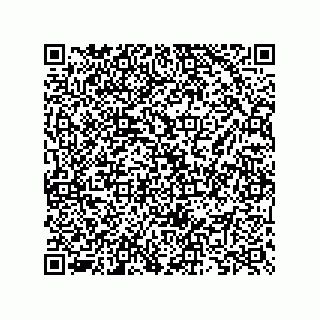 vCard 73825733363