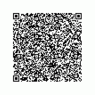 vCard 73825733365