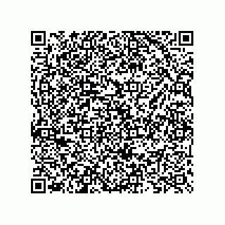 vCard 73825733367