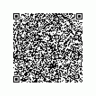 vCard 73825733368