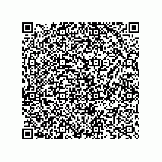vCard 73825733369