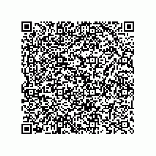vCard 73825733370