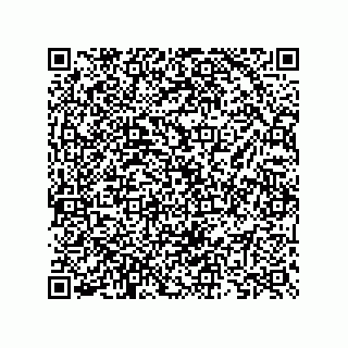 vCard 73825733372
