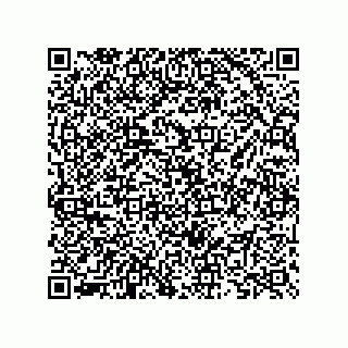 vCard 73825733373