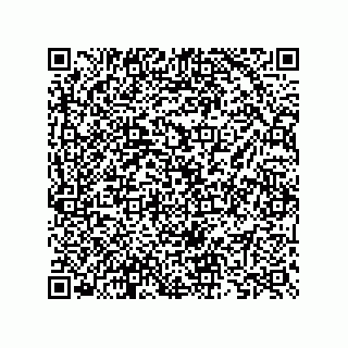 vCard 73825733374