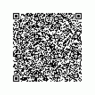 vCard 73825733375