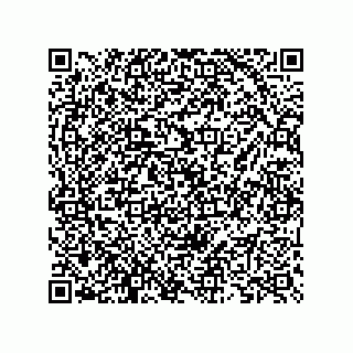 vCard 73825733376