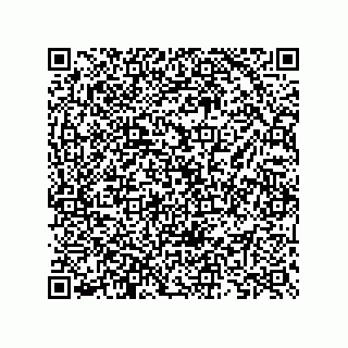 vCard 73825733377