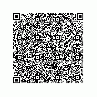 vCard 73825733379
