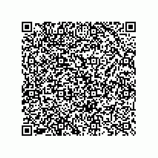 vCard 73825733380