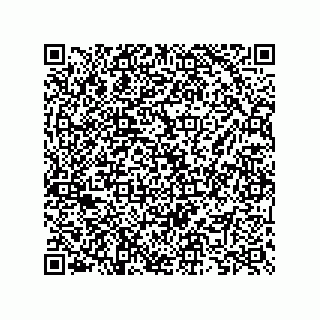 vCard 73825733381