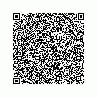 vCard 73825733382