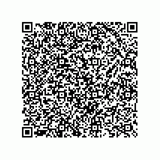 vCard 73825733383
