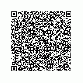 vCard 73825733385