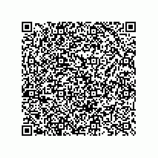 vCard 73825733387