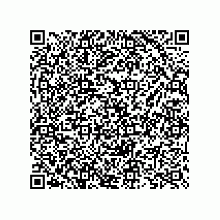 vCard 73825733388