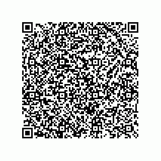 vCard 73825733389