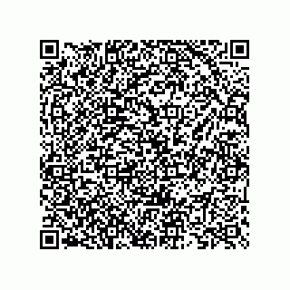 vCard 73825733392
