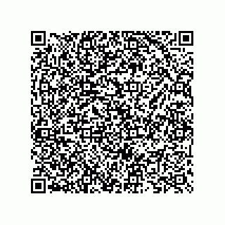 vCard 73825733393