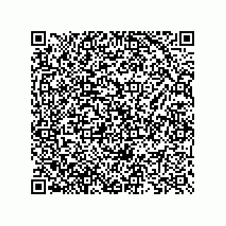 vCard 73825733394