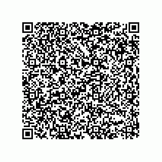 vCard 73825733395