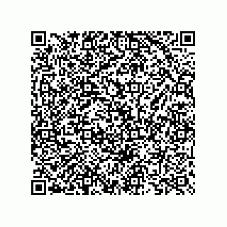 vCard 73825733400