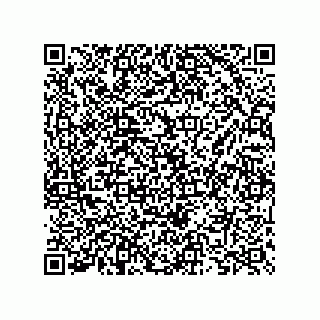 vCard 73825733401