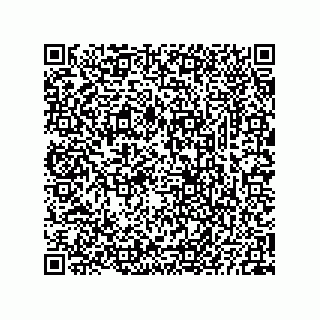 vCard 73825733403