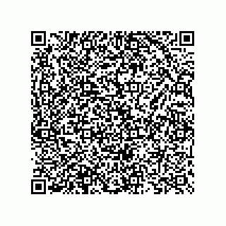 vCard 73825733404
