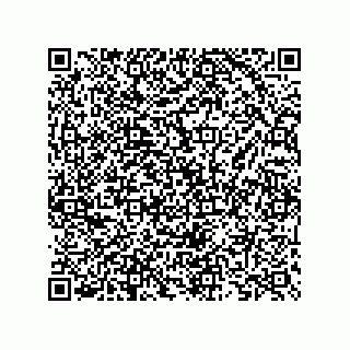 vCard 73825733405