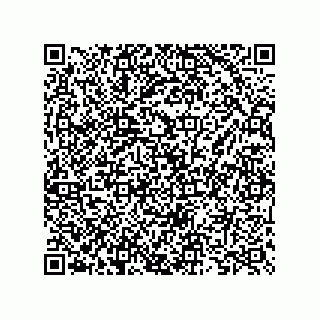 vCard 73825733408