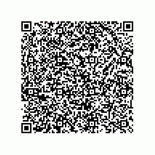 vCard 73825733409