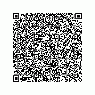 vCard 73825733410
