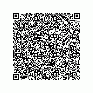 vCard 73825733411