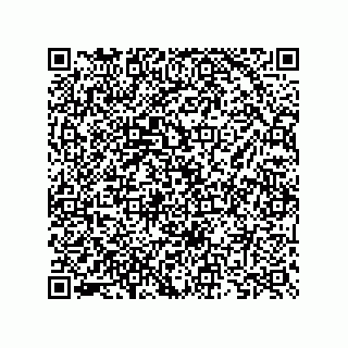 vCard 73825733412