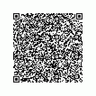 vCard 73825733413
