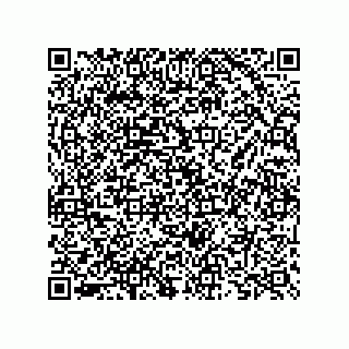 vCard 73825733415
