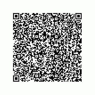 vCard 73825733417