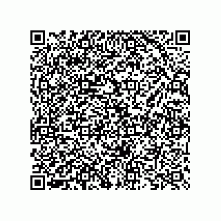 vCard 73825733419