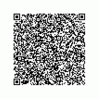 vCard 73825733421