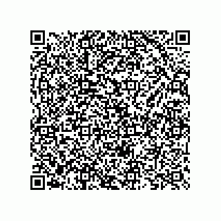 vCard 73825733428