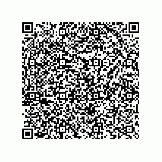 vCard 73825733429