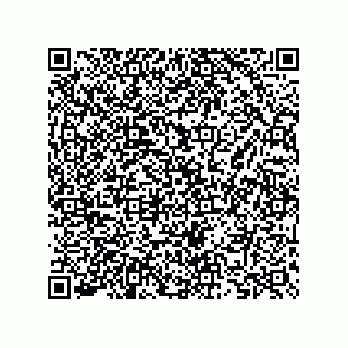 vCard 73825733441