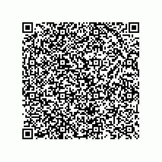 vCard 73825733447