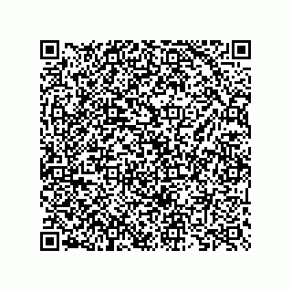 vCard 73825733462