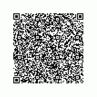 vCard 73825733463